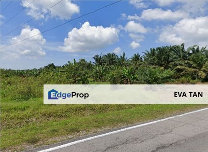 Pontian Agriculture Land, Johor, Pontian