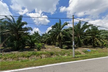 Pontian Agriculture Land