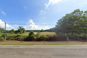 Mersing Agriculture Land