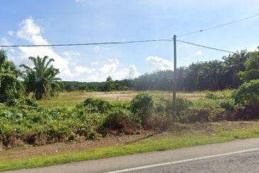 Mersing Agriculture Land