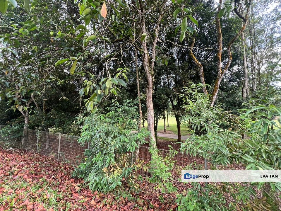 Skudai Taman Impian Emas Bungalow Land, Johor, Skudai