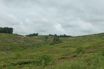 Ulu Tiram Medium Industrial Land