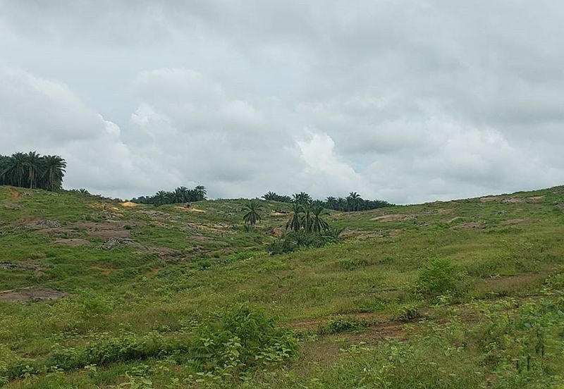 Ulu Tiram Medium Industrial Land