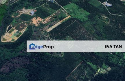 Pontian Pekan Nanas Agriculture Land, Johor, Pontian
