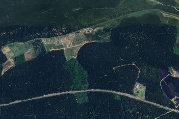 Kota Tinggi Semangar Agriculture Land