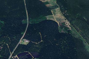 Kota Tinggi Semangar Agriculture Land