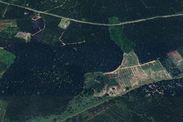 Kota Tinggi Semangar Agriculture Land