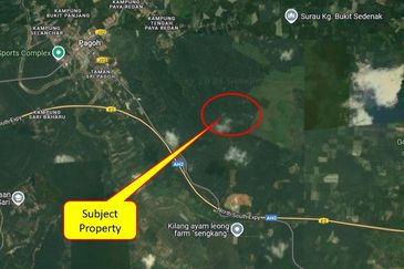 Muar Pagoh Agriculture Land