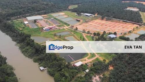 Eco Tourism Farm at Mawai, Kota Tinggi, Johor, Kota Tinggi
