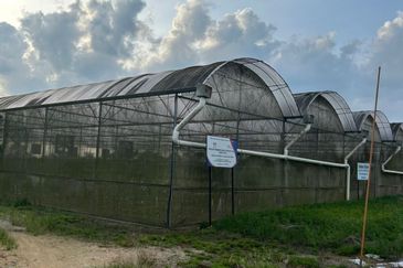 Eco Tourism Farm at Mawai, Kota Tinggi