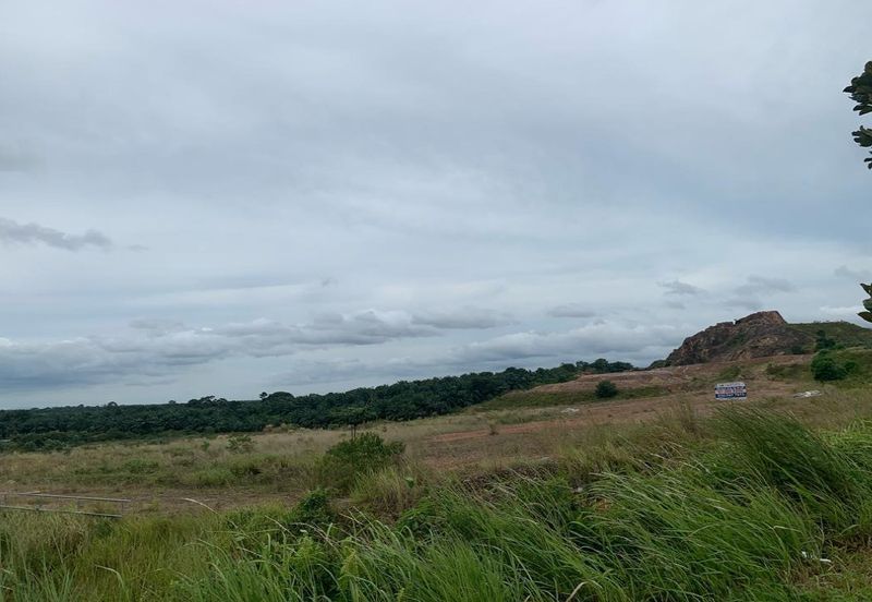 Gelang Patah/Pekan Nanas Industrial Land