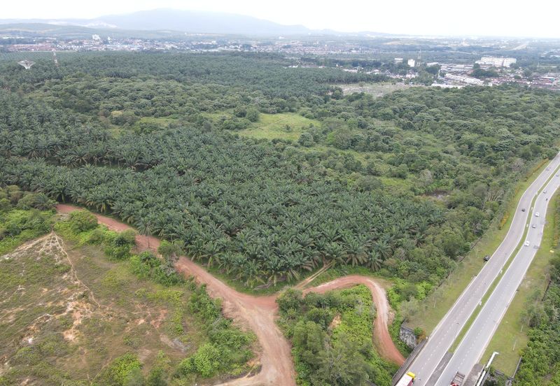 Senai Industrial Land