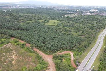 Senai Industrial Land