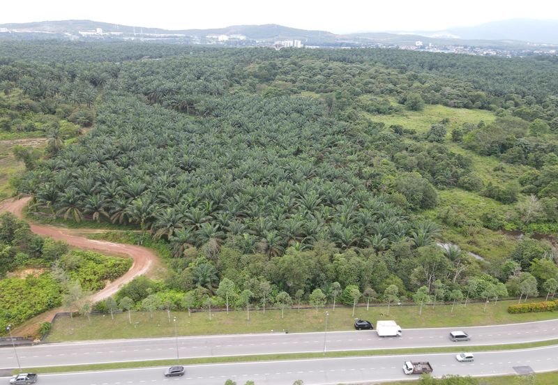 Senai Industrial Land
