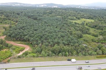 Senai Industrial Land