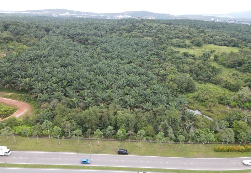 Senai Industrial Land