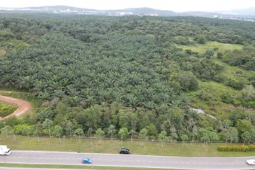 Senai Industrial Land