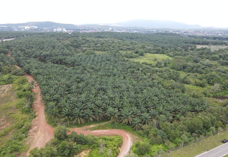 Senai Industrial Land