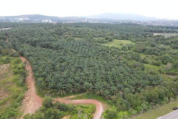 Senai Industrial Land