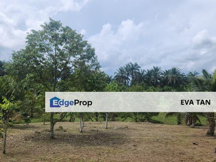 Simpang Renggam Zoning Industrial Agriculture Land, Johor, Kluang