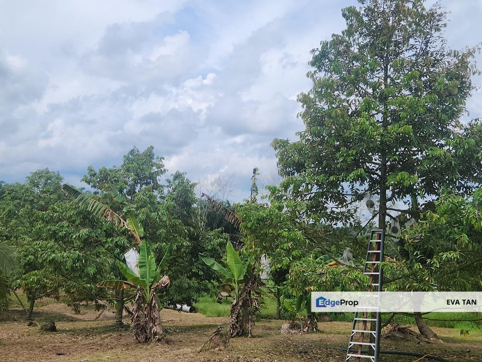 Simpang Renggam Zoning Industrial Agriculture Land, Johor, Kluang