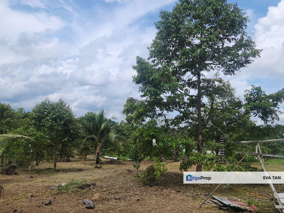 Simpang Renggam Zoning Industrial Agriculture Land, Johor, Kluang