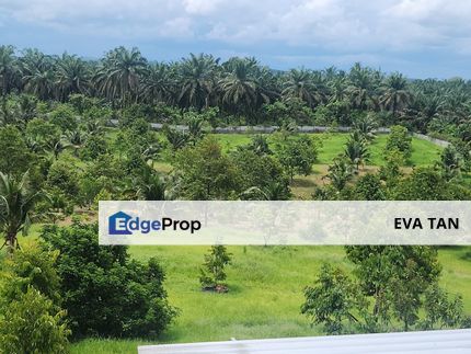 Simpang Renggam Zoning Industrial Agriculture Land, Johor, Kluang