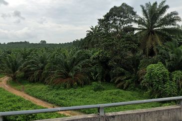 Kulaijaya Commercial Land