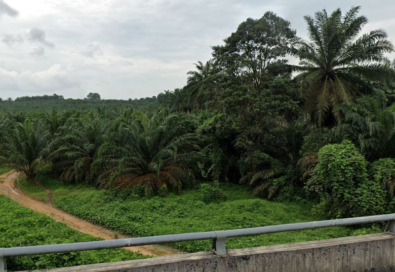Kulaijaya Commercial Land