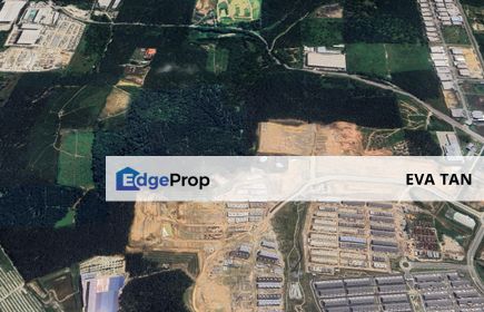 Pekan Nanas Zoning Industrial Land, Johor, Pekan Nanas (Pekan Nenas)