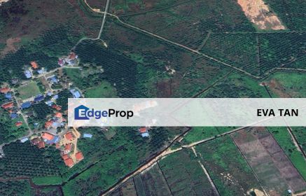 Pengerang Agriculture Land, Johor, Kota Tinggi