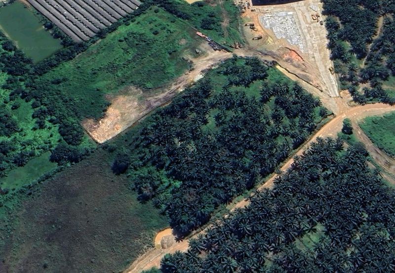 Pekan Nanas Industrial