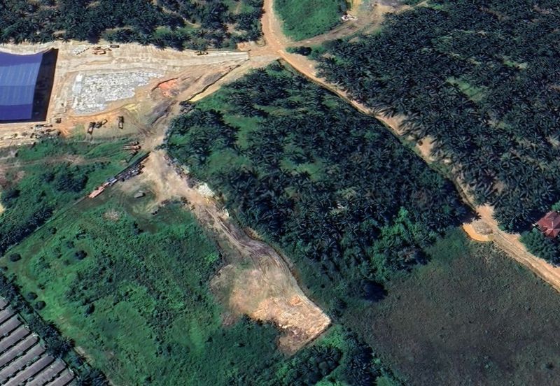 Pekan Nanas Industrial