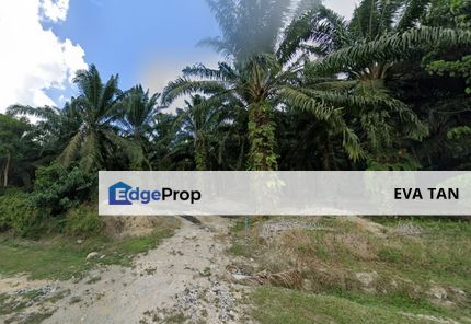 Pekan Nanas Zoning Residential Land, Johor, Pekan Nanas (Pekan Nenas)