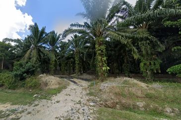 Pekan Nanas Zoning Residential Land