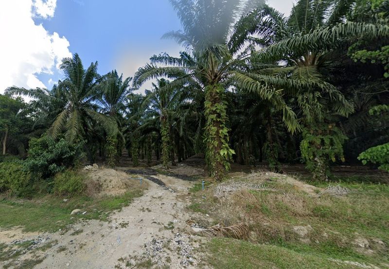 Pekan Nanas Zoning Residential Land