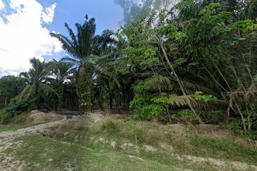 Pekan Nanas Zoning Residential Land