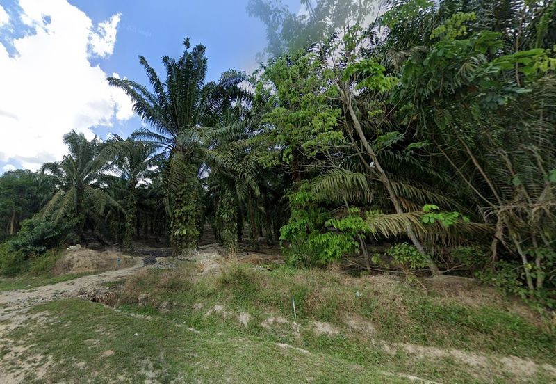 Pekan Nanas Zoning Residential Land