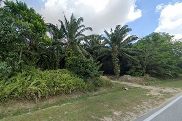 Pekan Nanas Zoning Residential Land