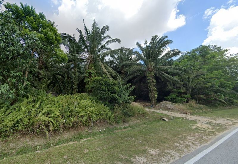 Pekan Nanas Zoning Residential Land