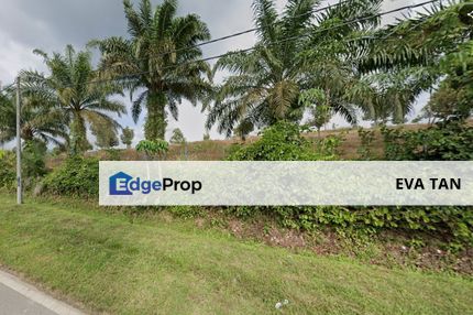 Simpang Pertang, Jelebu Agriculture Land for Sale, Negeri Sembilan, Jelebu