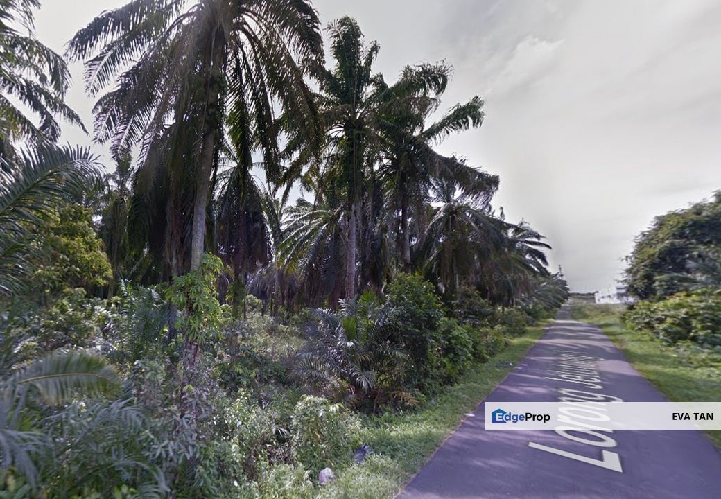 Gelang Patah Jelutong Zoning Industrial Agriculture Land for sale, Johor, Gelang Patah