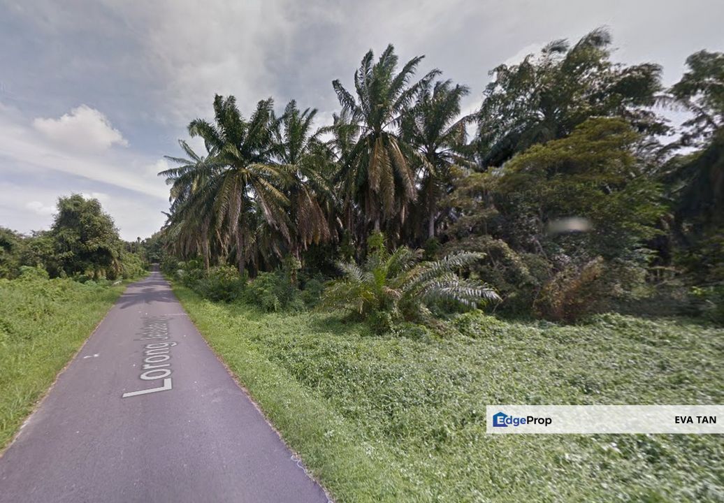 Gelang Patah Jelutong Zoning Industrial Agriculture Land for sale, Johor, Gelang Patah