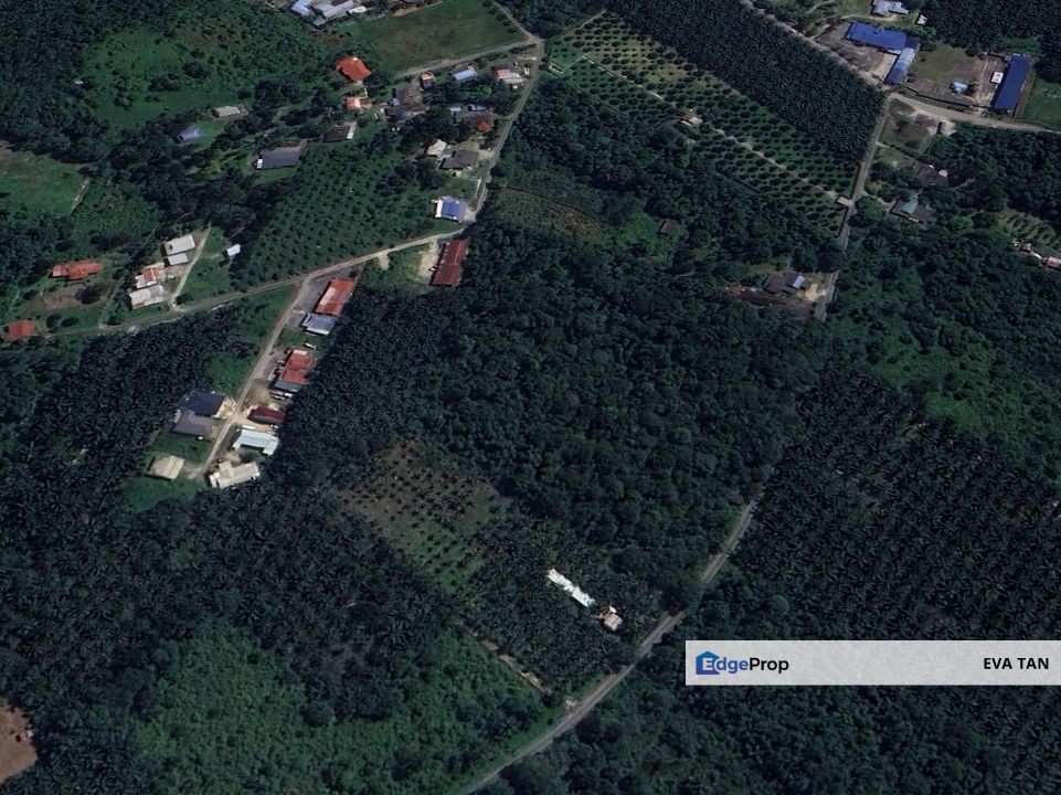 Gelang Patah Kampung Jelutong Zoning Residential Agriculture Land for sale, Johor, Gelang Patah