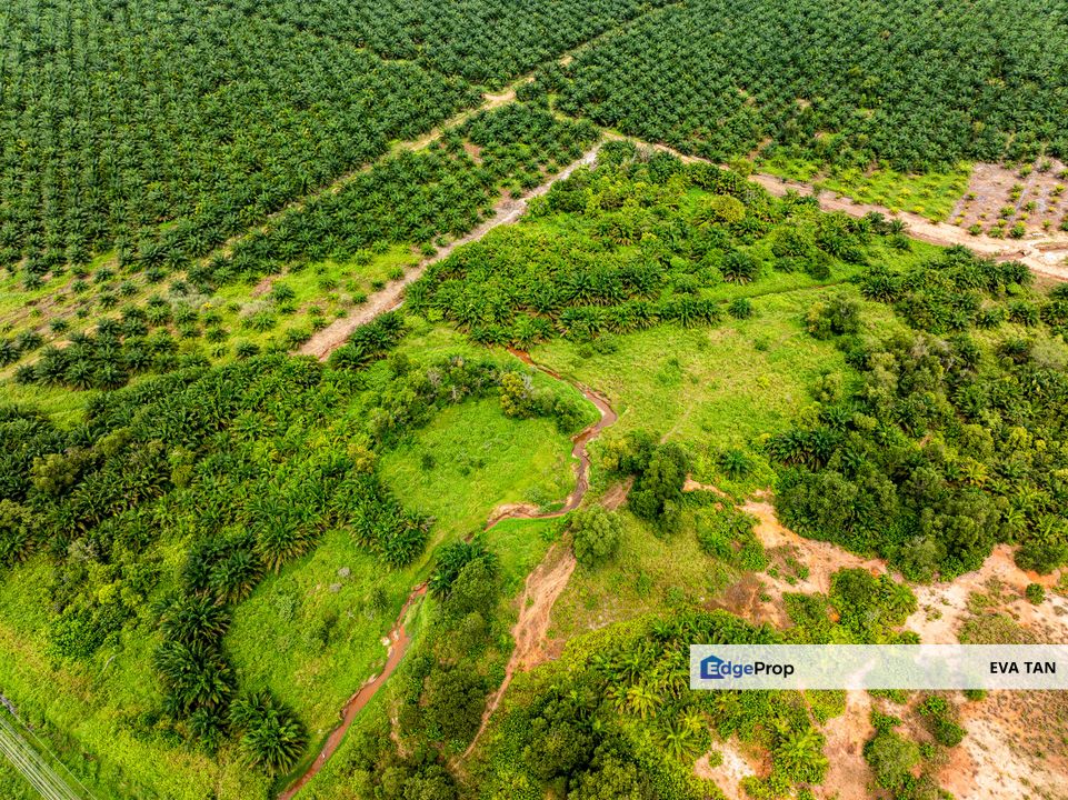 Tanjung Langsat Industrial Land for sale, Johor, Pasir Gudang