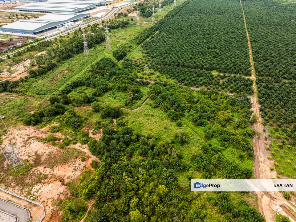 Tanjung Langsat Industrial Land for sale, Johor, Pasir Gudang