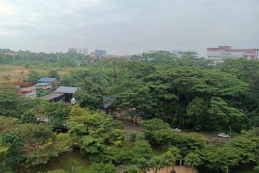 AdisonWest @Larkinton