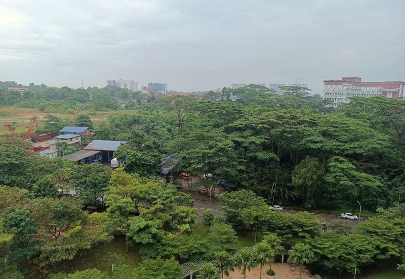 AdisonWest @Larkinton