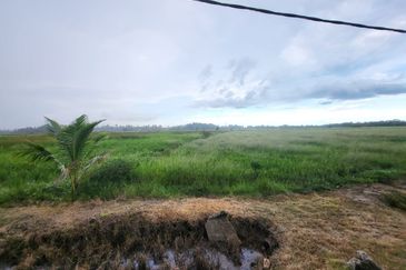 TANAH MURAH Bachok Kelantan @ Lot Banglo 5,900 Kaki Persegi FORSALE 