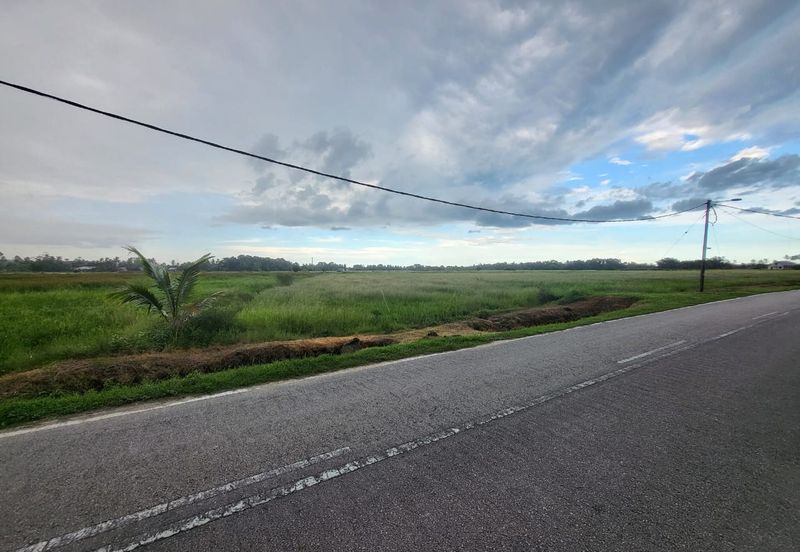 TANAH MURAH Bachok Kelantan @ Lot Banglo 5,900 Kaki Persegi FORSALE 